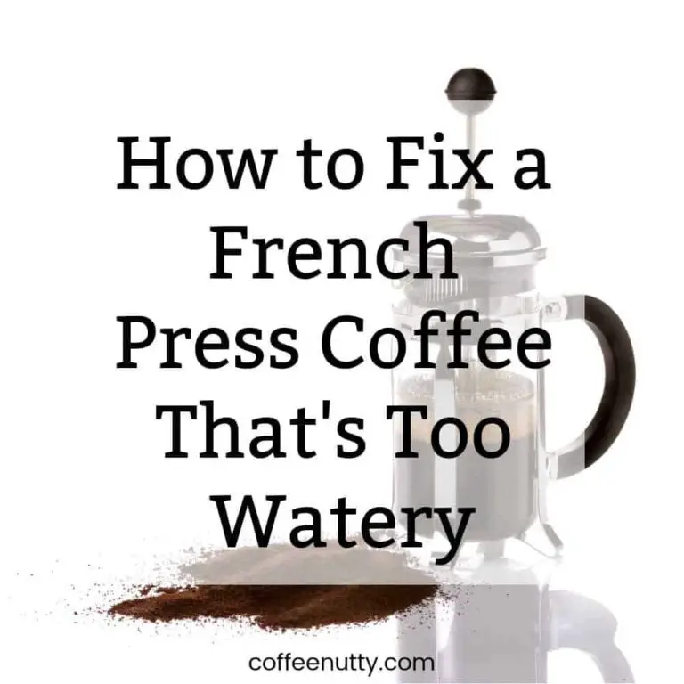 french press too watery