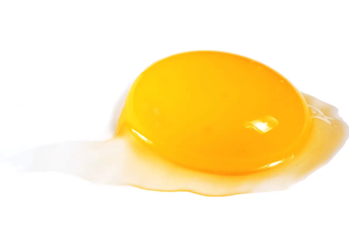 close up of egg yolk on white surface