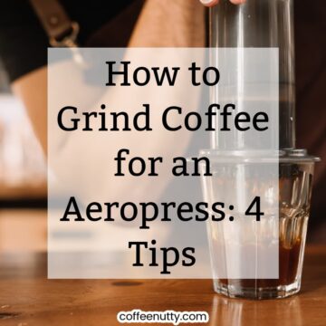 barista making coffee with aeropress