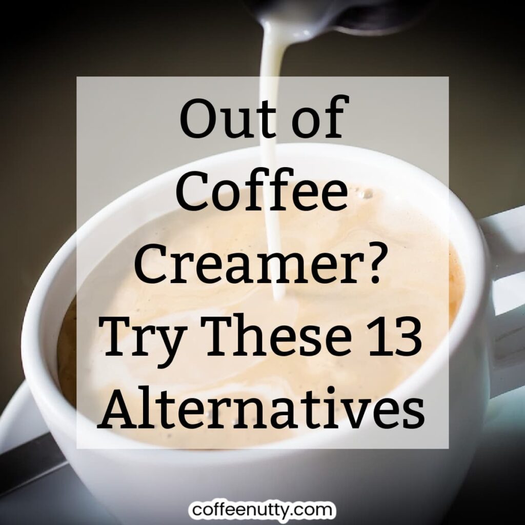 13+ Coffee Creamer Alternatives Best Substitutes to Try