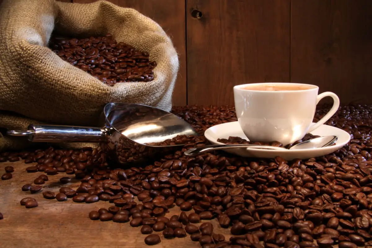 bag of coffee beans spilled on the counter with a scoop and a cup of coffee on a saucer