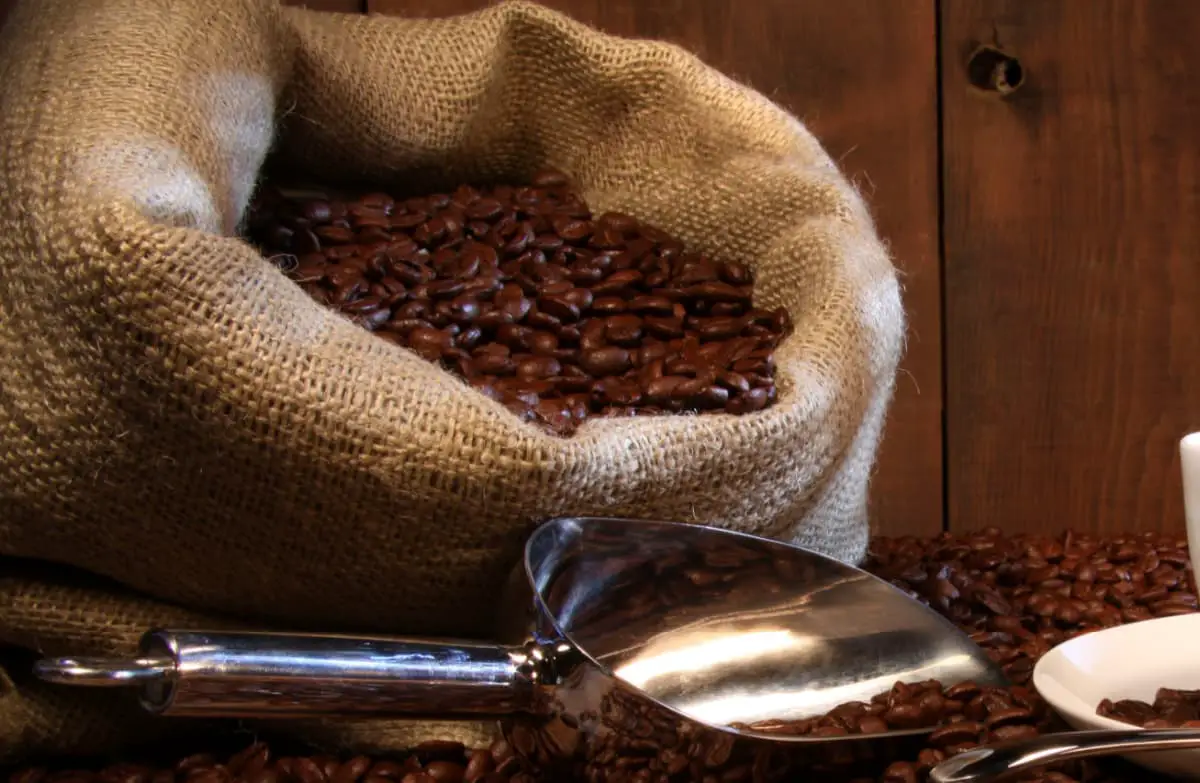 Large burlap bag of coffee beans that has spilled onto table.