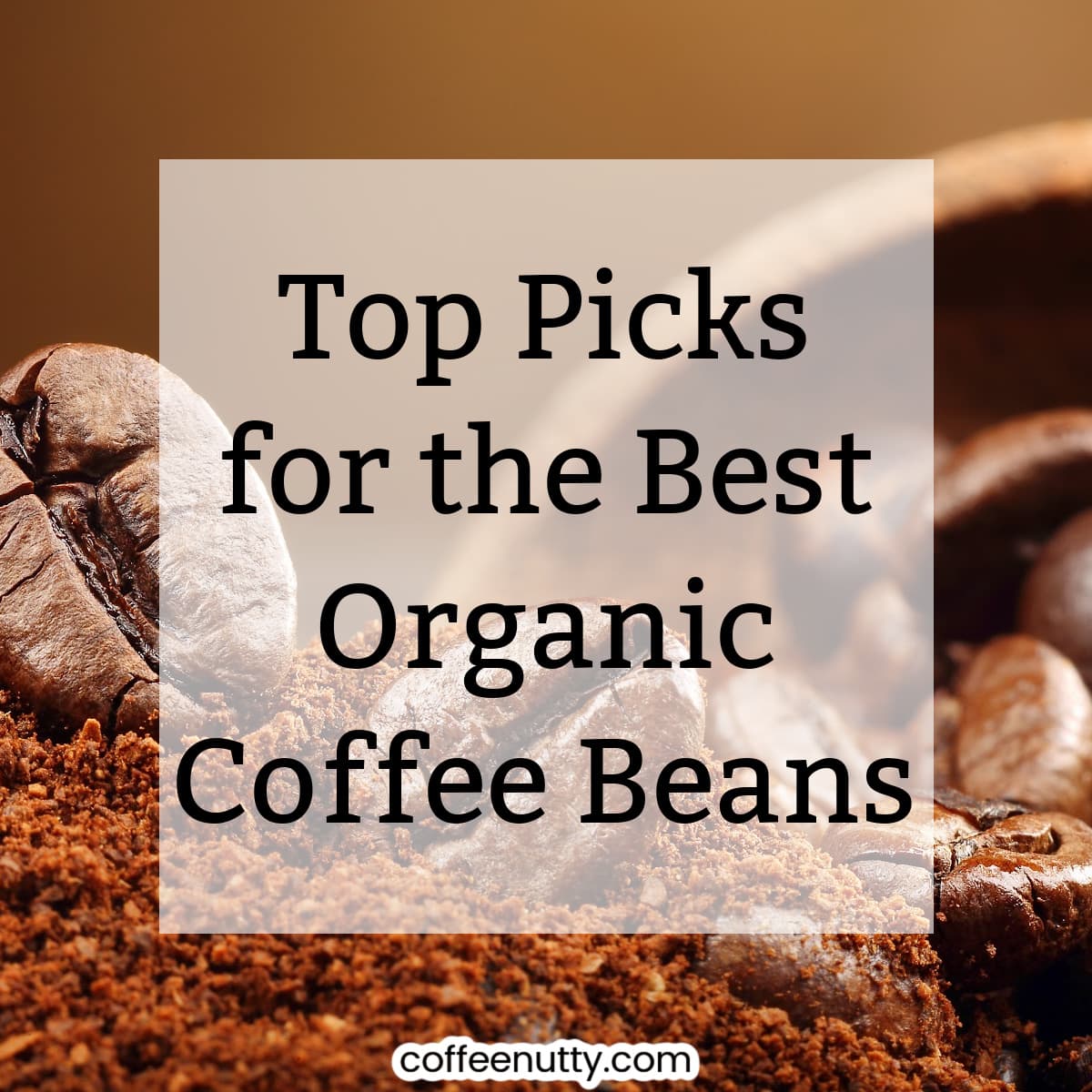 Coffee beans and grounds with brown backdrop with overlay text "our top picks for the best organic coffee beans".