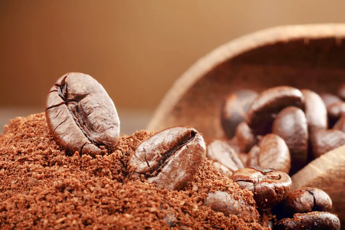 Coffee beans and ground with brown background.