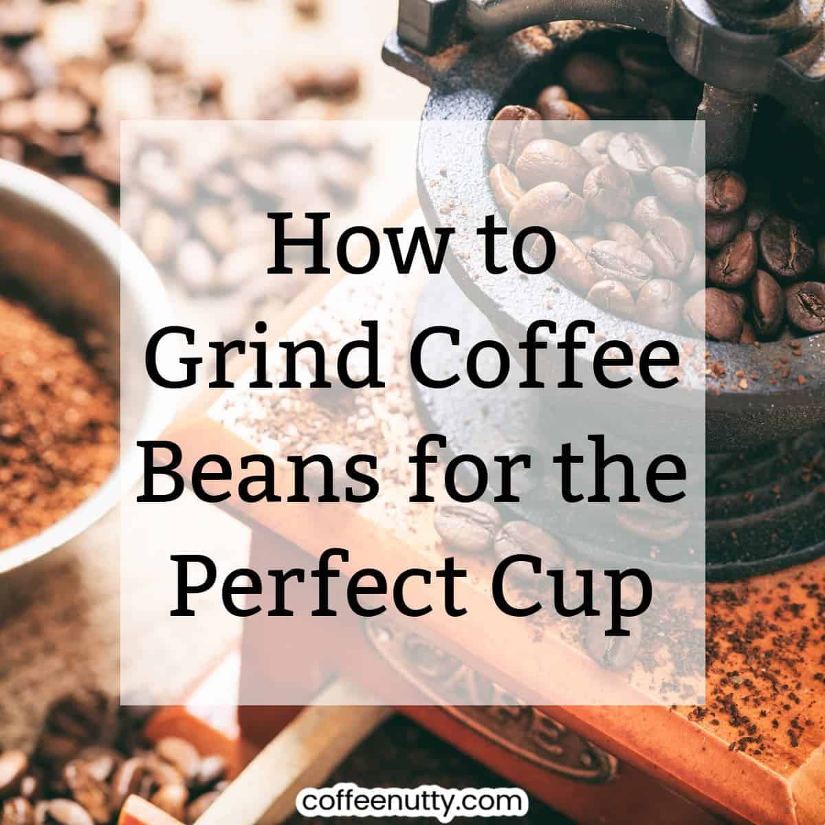 Image in background of coffee grinder and fresh grounds with text over stating "how to grind coffee beans for the perfect cup".