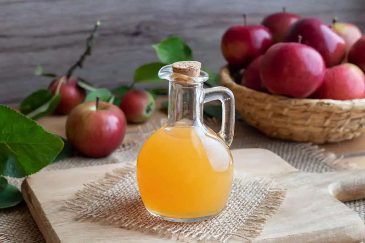 Apple cider vinegar in glass bottle with cork surrounded by apples on table.