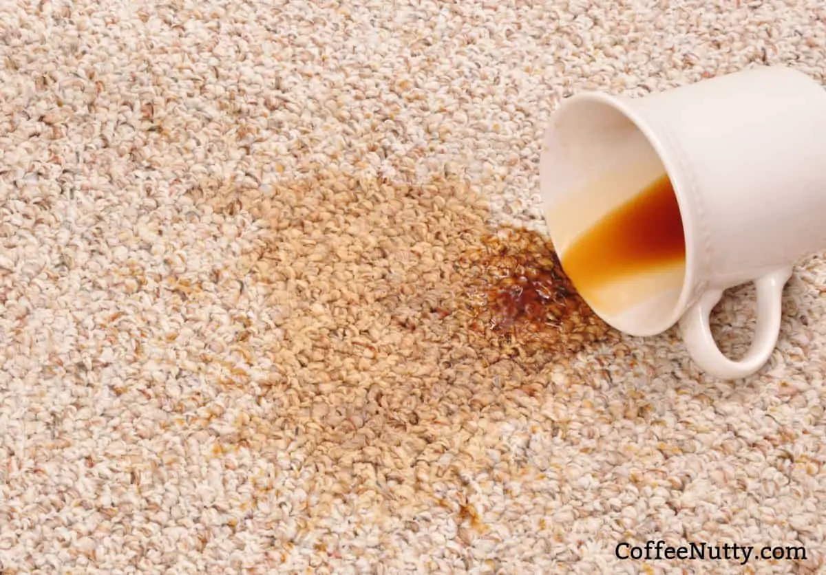 Coffee spill on carpet.
