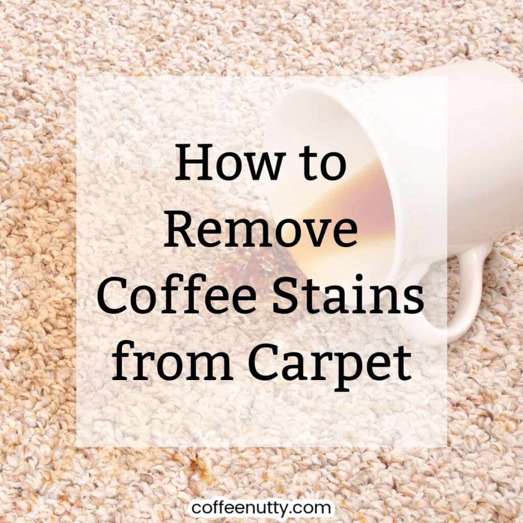 Coffee mug spilling on carpet leaving coffee stain.