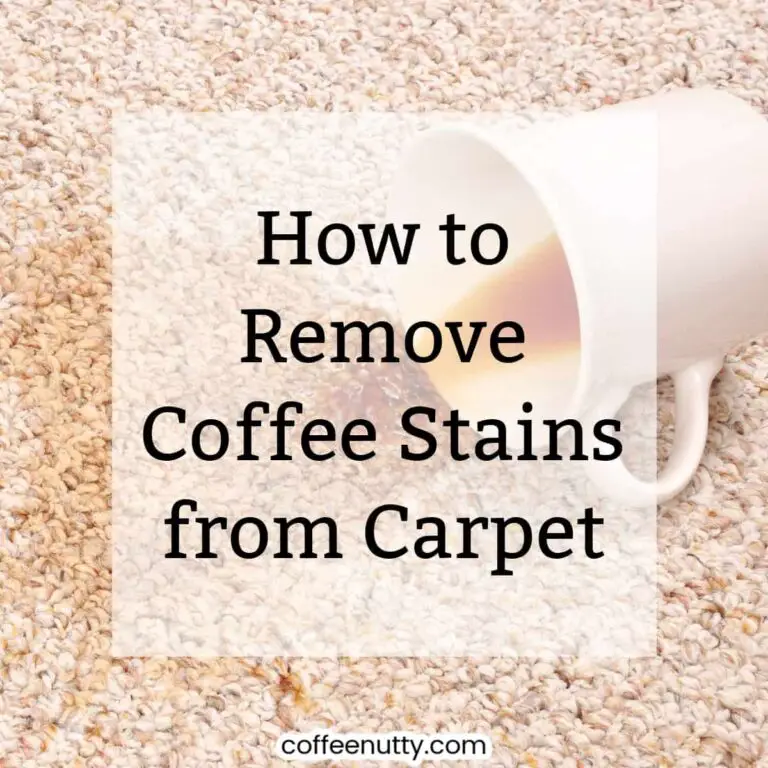 Coffee mug spilling on carpet leaving coffee stain.