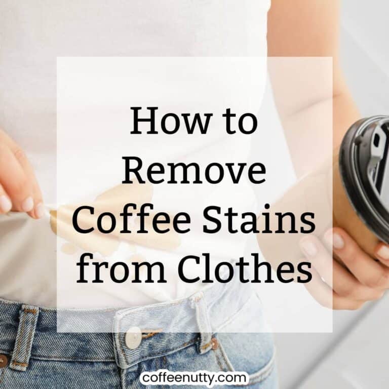 Close up of white tshirt with fresh coffee stain with woman holding coffee cup.
