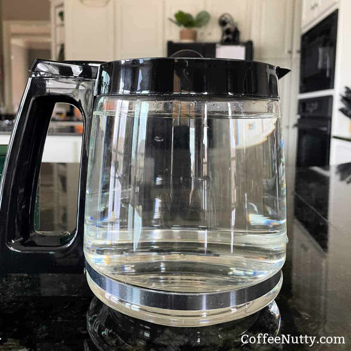 Water filled to top of 12 cup coffee pot carafe.