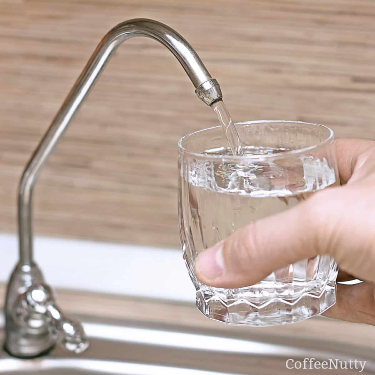 What's the Best Water for Coffee Brewing?