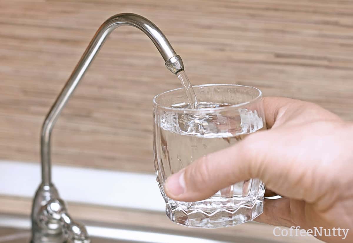 Small glass held by man being filled with water at water filter.