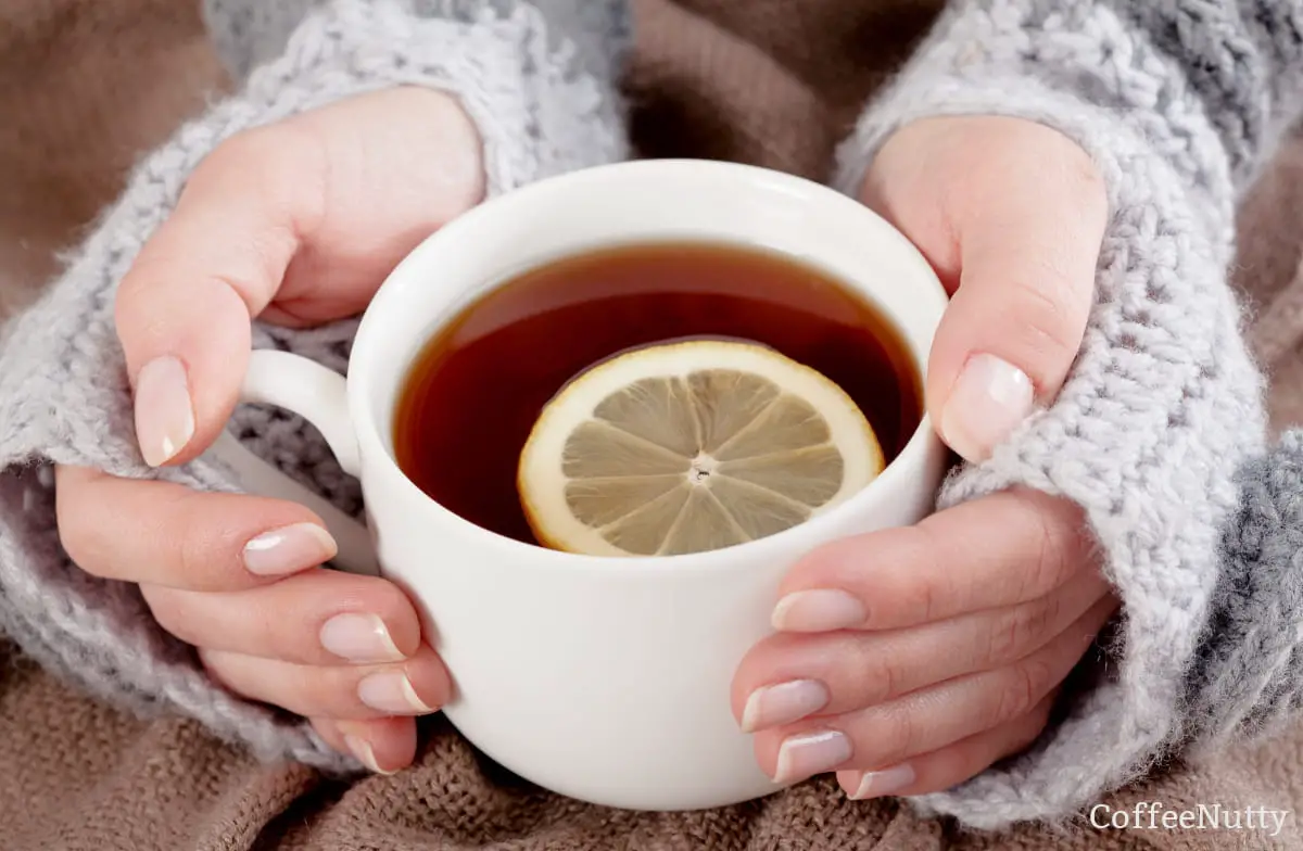 Woman with gray sweater holding tea with lemon in white mug using both hands.