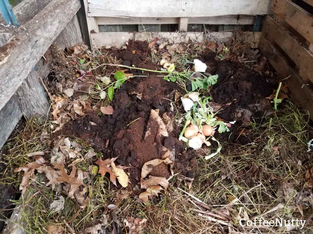 Egg shells, paper coffee filter, coffee grounds, and other food scraps in compost pile for garden vegetables.