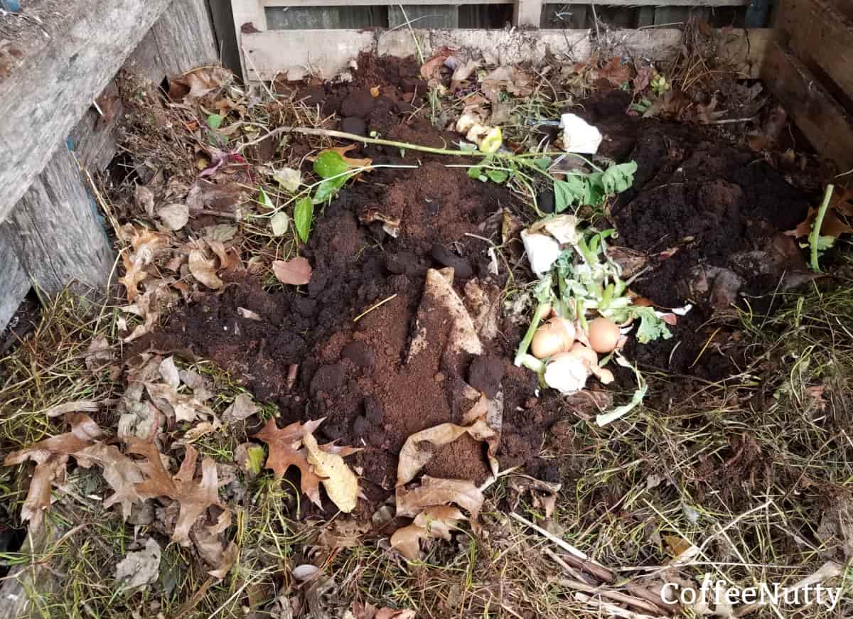 Compost pile with food waste, coffee filters, coffee grounds, egg shells - coffeenutty.com.