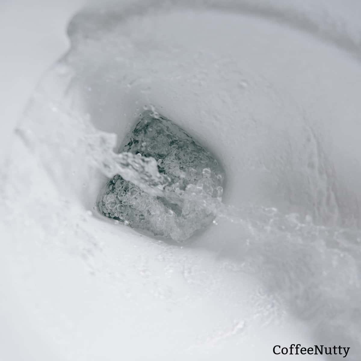 Are Coffee Filters Flushable? A Toilet Paper Alternative?