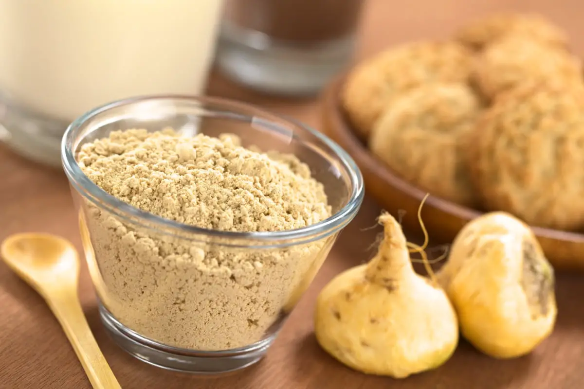 Maca root beside glass container of maca powder.