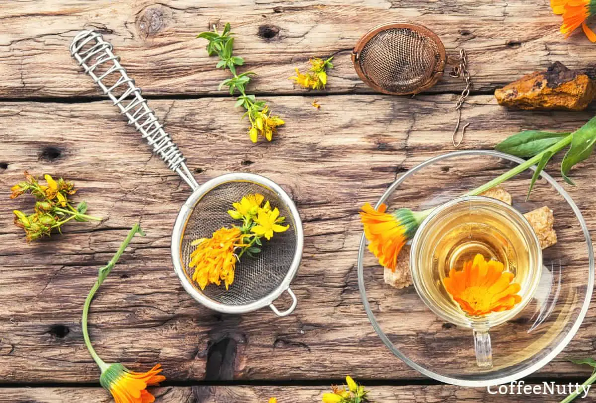 Herbs and flowers on table to infuse to make herbal tea.