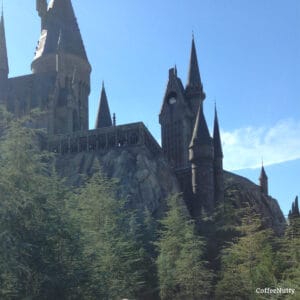 Wizarding World at Universal where Butterbeer is served.