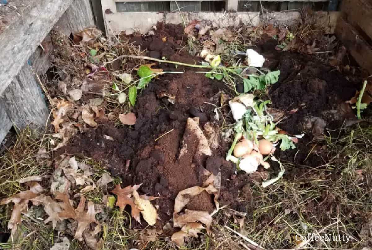 Coffee filter and grounds in a compost pile.
